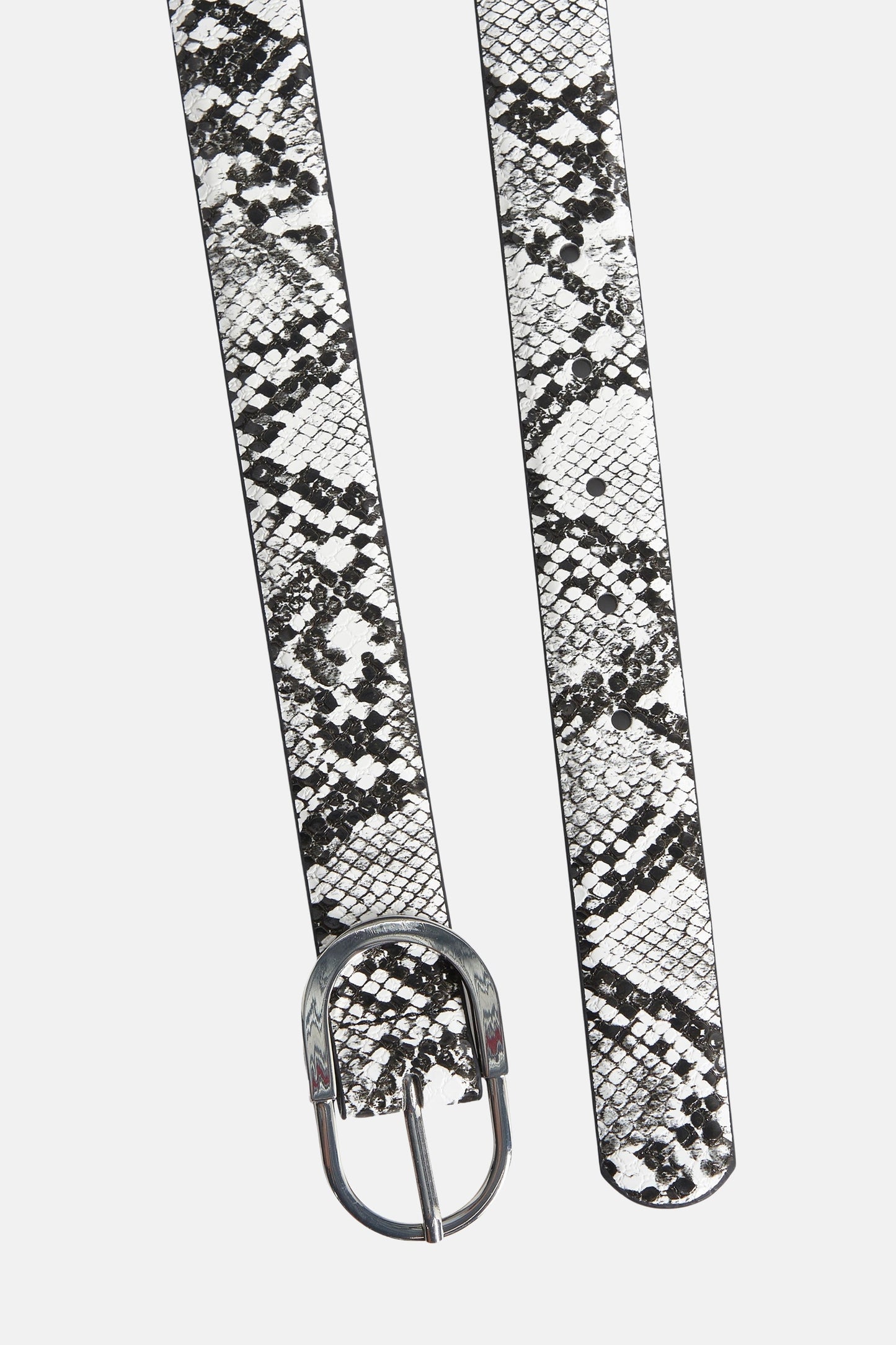 Zwarte Riem