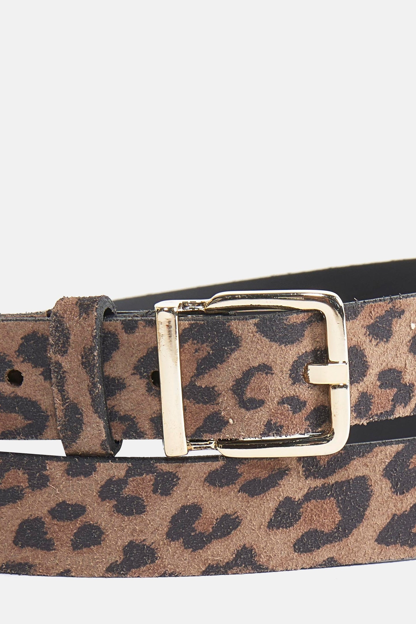 Riem - Bruin" can be rewritten as "Brown Belt - Riem.