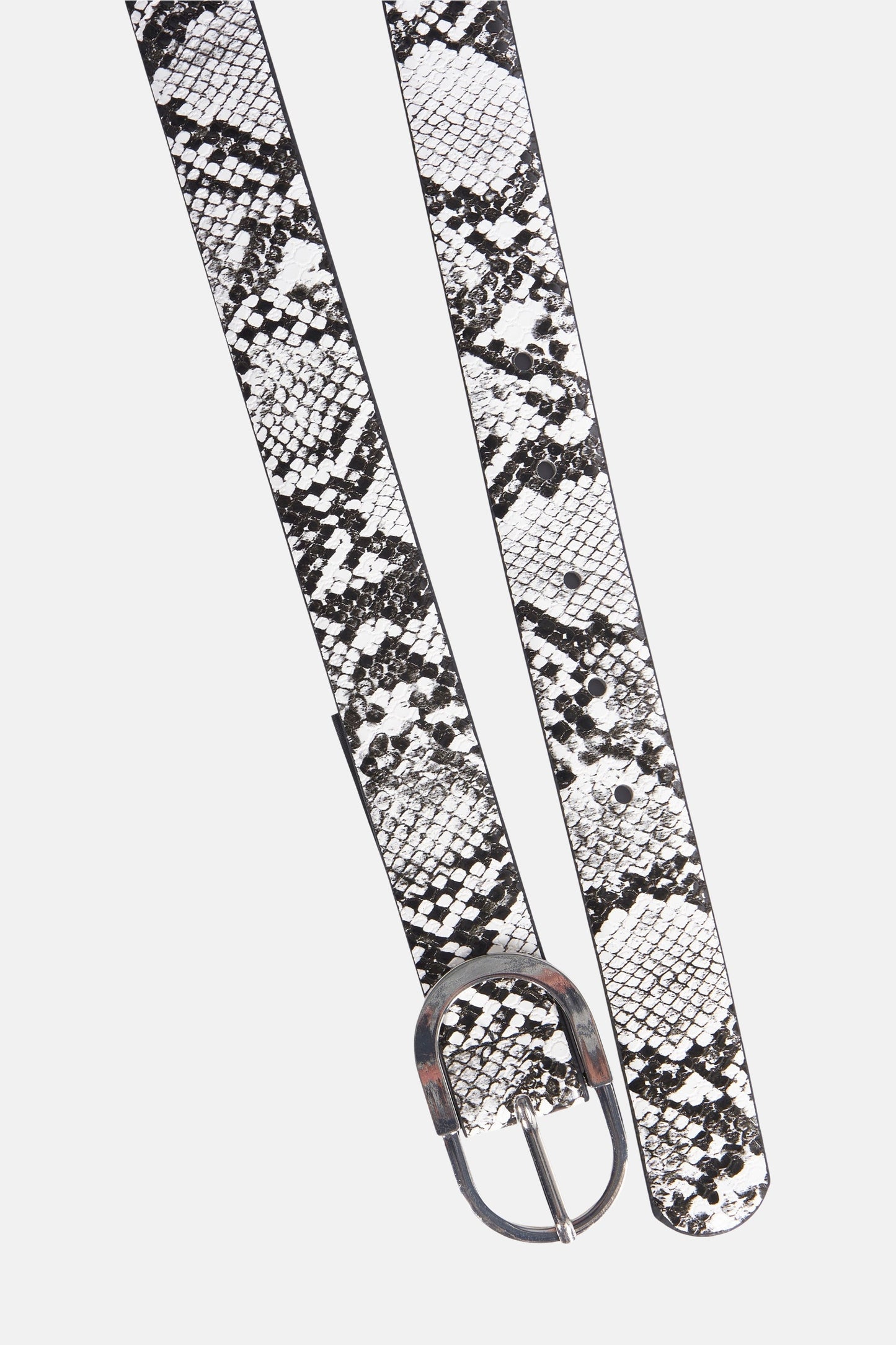 Zwarte Riem