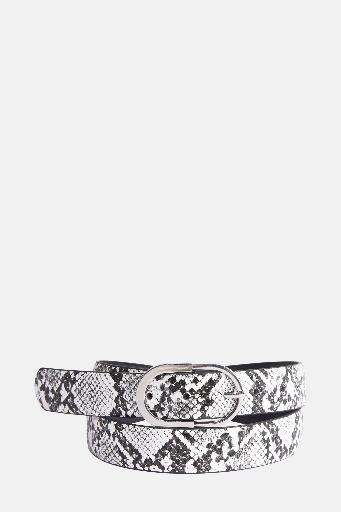 Zwarte Riem