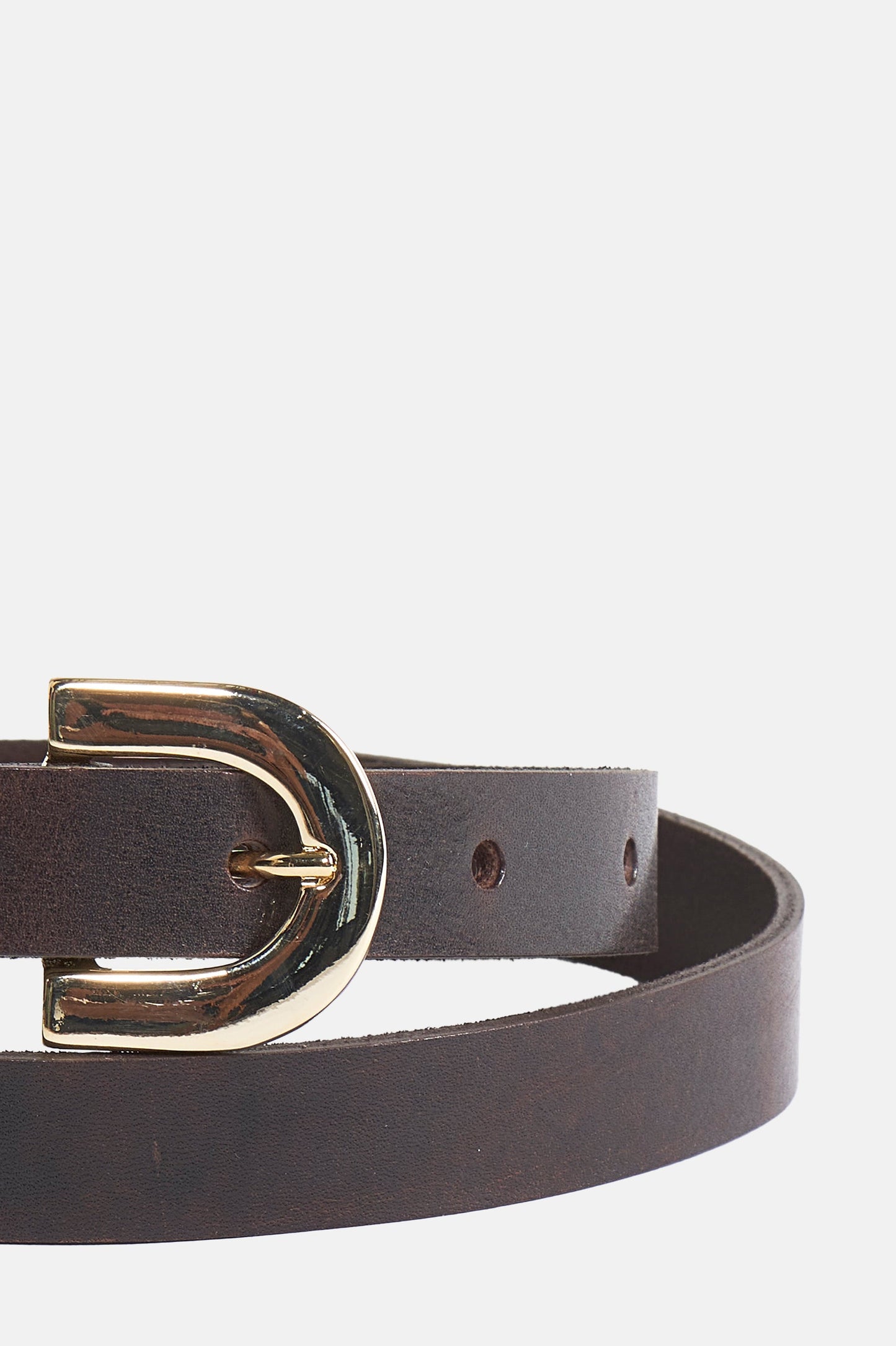 Riem in Bruin