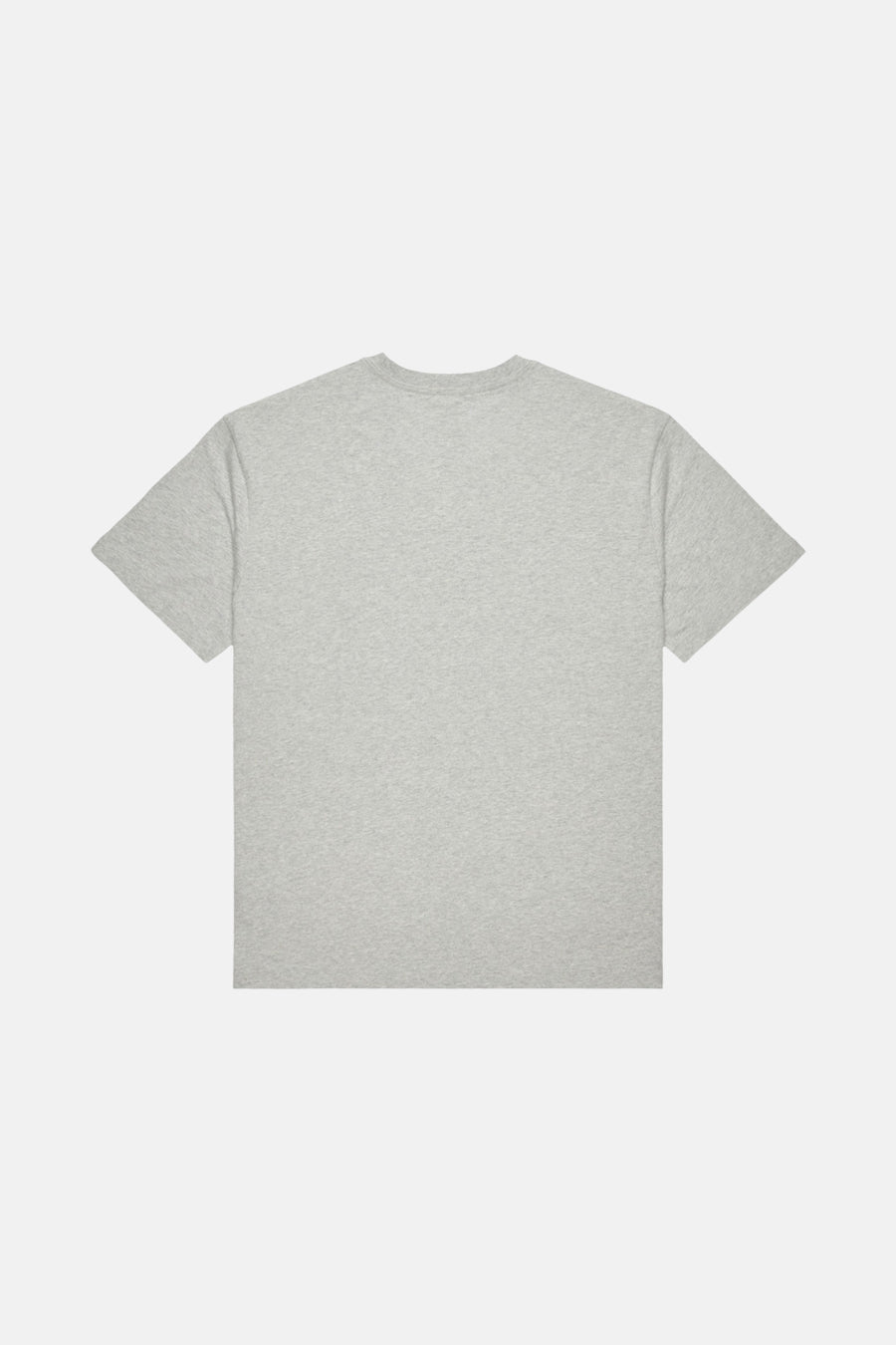T-shirt (korte mouwen) grijs - DC SHOES