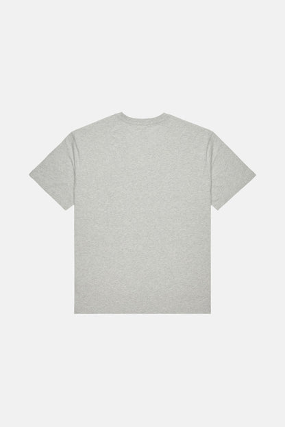 T-shirt (korte mouwen) grijs - DC SHOES