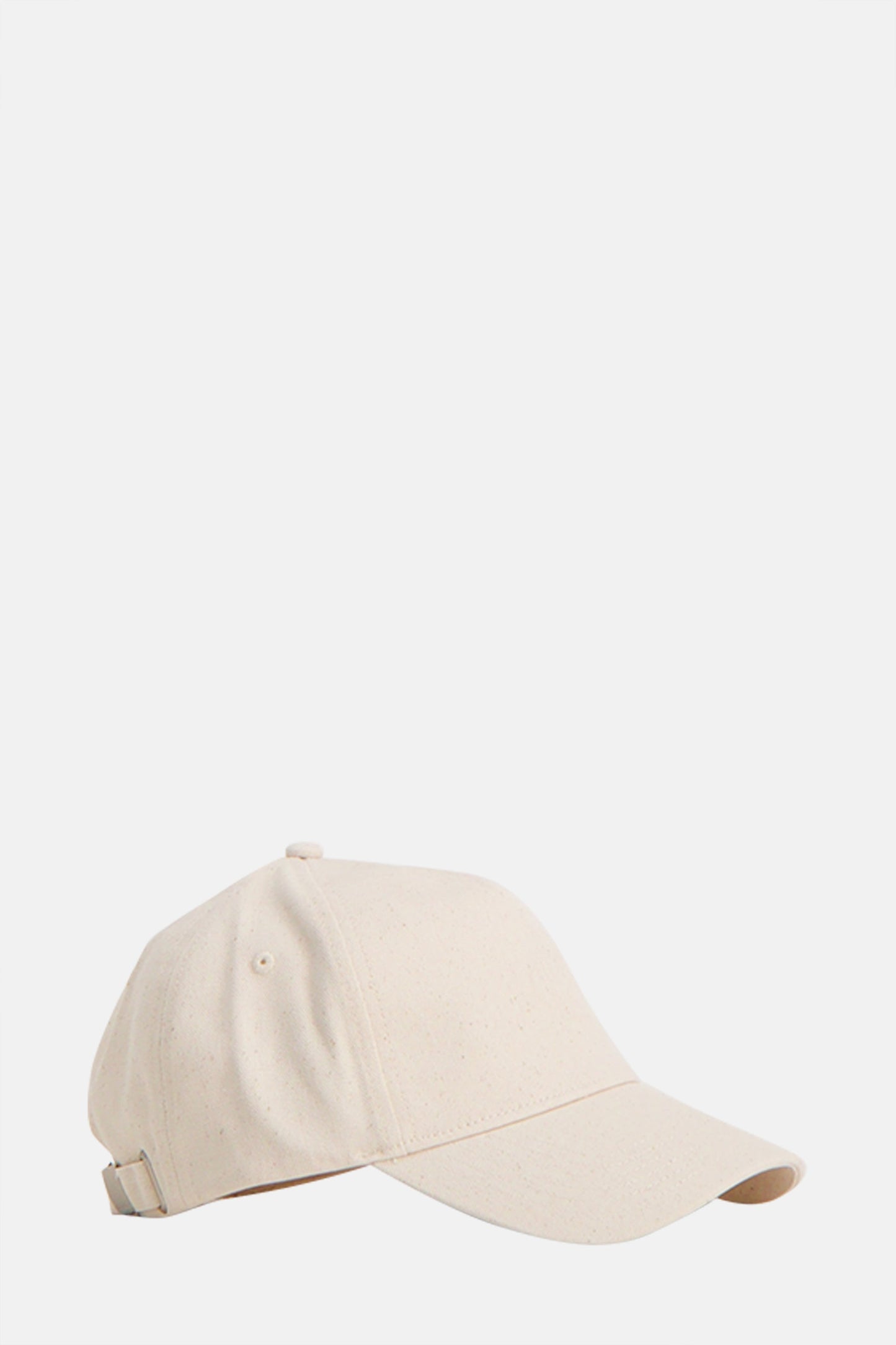 Beige Huisdier